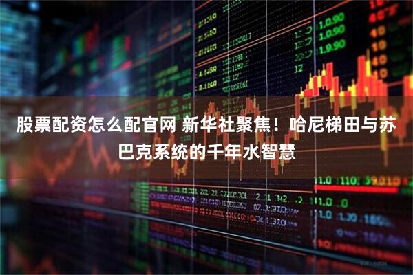 股票配资怎么配官网 新华社聚焦！哈尼梯田与苏巴克系统的千年水智慧